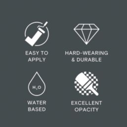 LickPro Max+ 5Ltr Black 04 Matt Emulsion  Paint