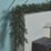 Fraser Fir 2.74m Indoor LED Pre Lit Artificial Christmas Garland
