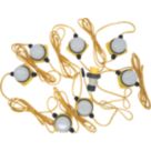 Briticent  20m LED Festoon Lighting Chain 70W 1200lm 110V