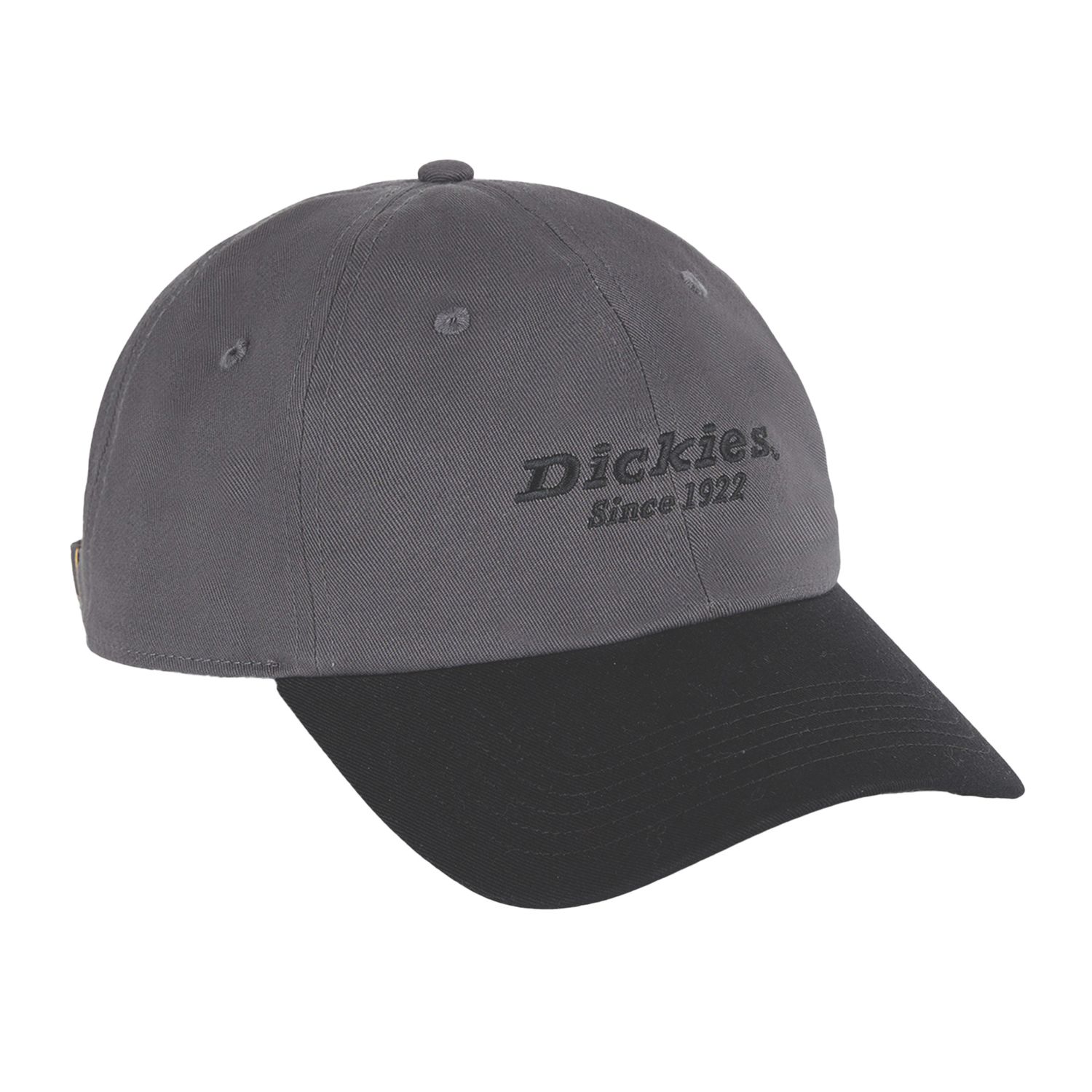 Dickies Everyday Headwear Dark Grey (439XP)