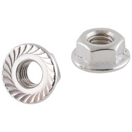 Easyfix A2 Stainless Steel Flange Head Nuts M6 100 Pack