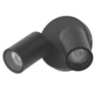 Zink Leto Outdoor Wall Light Fitting Black