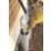 Ideal Yellow 77 Wire & Cable Pulling Lubricant 950ml