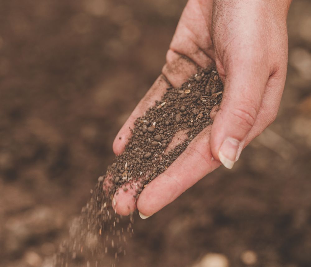 Westland Nature's Haven Easy Wildflowers 16m² 4kg - Screwfix