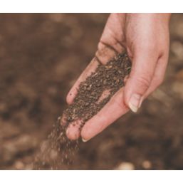 Westland Nature's Haven Easy Wildflowers 16m² 4kg