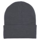 Beechfield Polylana Original Cuffed Beanie Grey