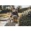 Karcher WD 6 1300W 30Ltr  Wet & Dry Vacuum Cleaner 240V