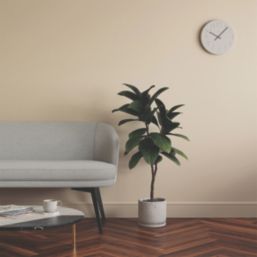 LickPro Max+ 2.5Ltr Beige 01 Matt Emulsion  Paint