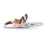 STIHL MSA 70 36V 1 x 180Wh Li-Ion AK System Brushless Cordless 30cm Chainsaw