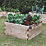 Forest Caledonian Raised Bed  900mm x 900mm x 450mm