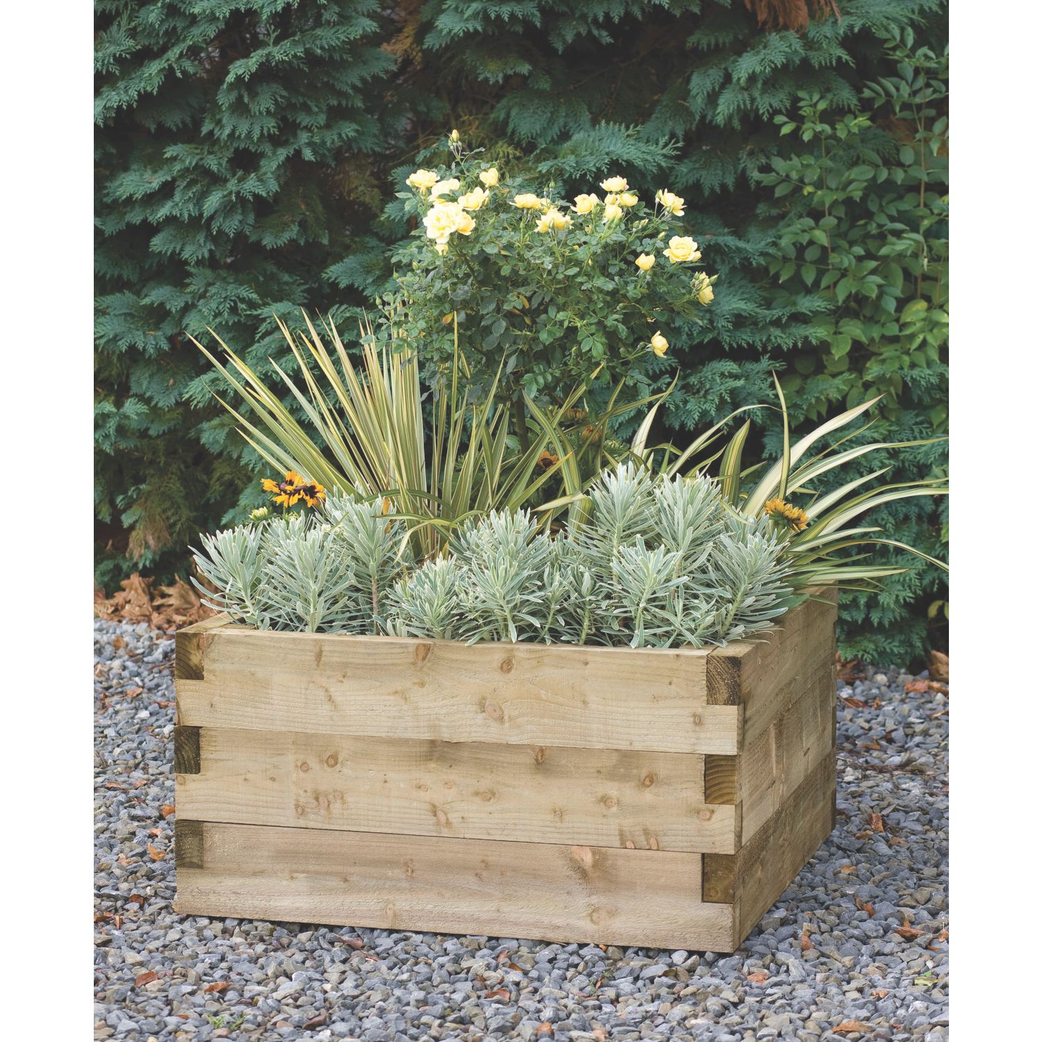Forest Caledonian Raised Bed 900mm x 900mm x 450mm (4561K)