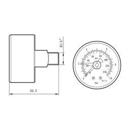 Flomasta Rear Connection Pressure Gauge 10bar