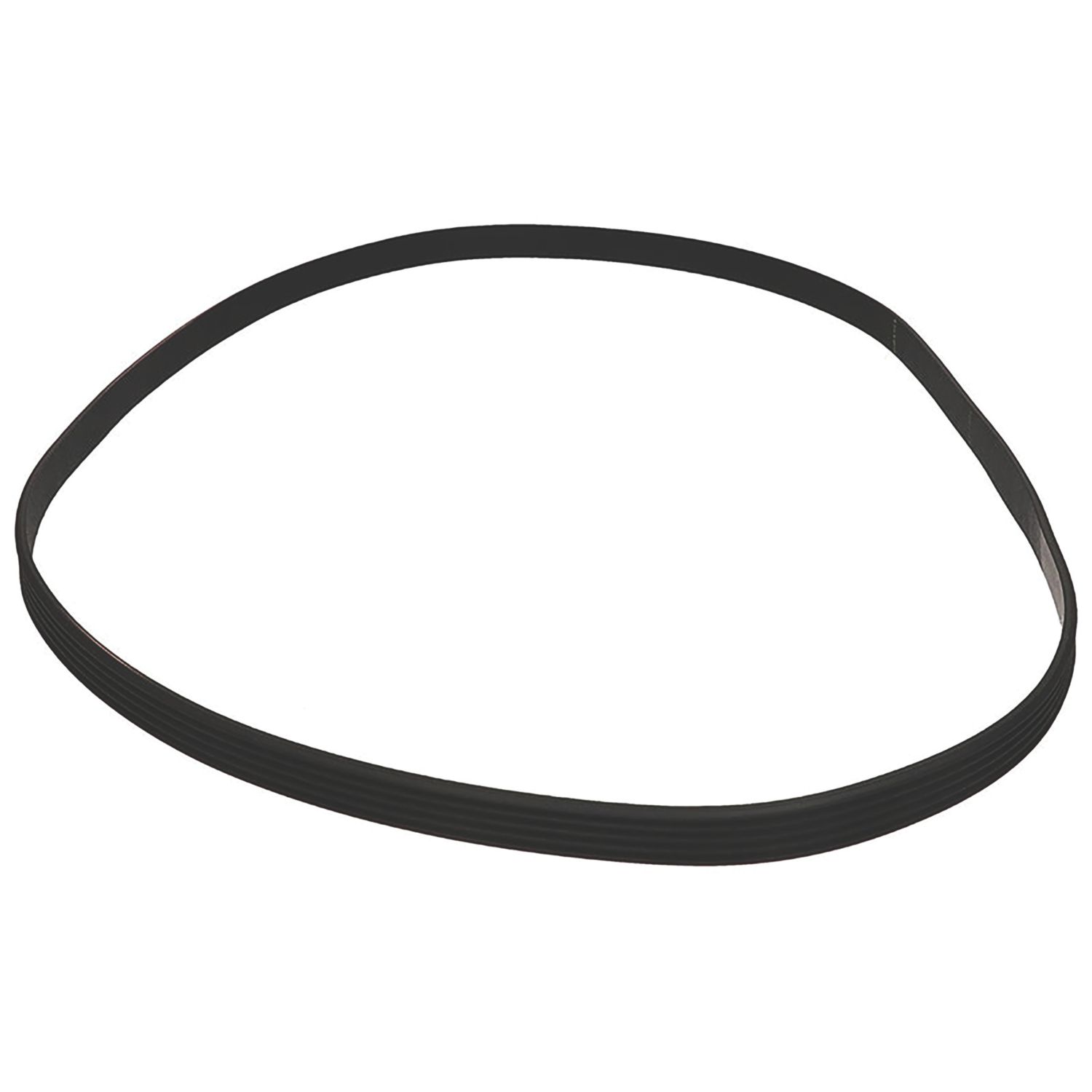 Electrolux 1323531200 Drive Belt 1 (461EV)