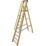 Lyte Fibreglass 3.25m 10 Step Platform Step Ladder With Handrail