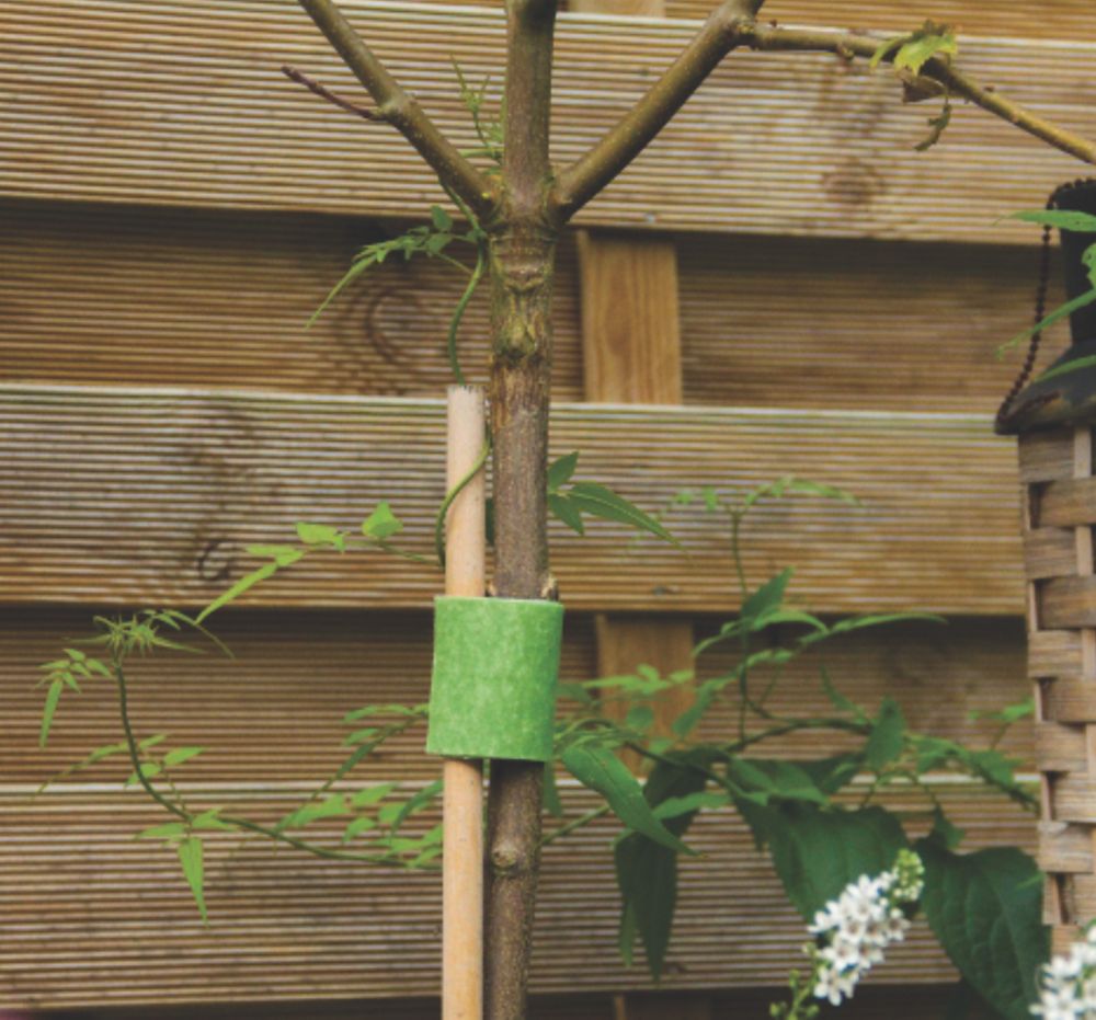 Velcro Plant Ties, 25 m Velcro Tape, Self-Adhesive, Reusable as  Weatherproof Trellis for Plants, Cable Ties Velcro Roll, Trellis for  Climbing Plants : : Garden