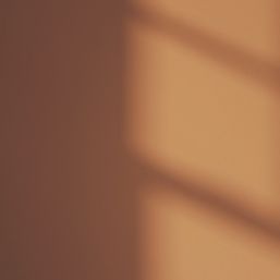 LickPro Max+ 5Ltr Orange 02 Matt Emulsion  Paint