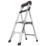 Little Giant Aluminium 1.2m 2 Step Platform Step Ladder With Handrail