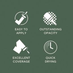 LickPro  2.5Ltr Green 20 Vinyl Matt Emulsion  Paint