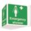 Essentials Emergency Shower Projecting Sign (3D) 200mm x 400mm