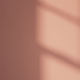 LickPro Max+ 1Ltr Red 03 Matt Emulsion  Paint