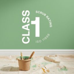 LickPro Max+ 5Ltr Green 16 Matt Emulsion  Paint