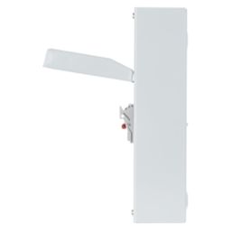 Lewden  100A 1+N  100A Metal Fused Switch