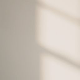 LickPro Max+ 1Ltr Pink 01 Matt Emulsion  Paint