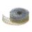 DEWALT Galvanised Ring Shank Coil Nails 2.1mm x 35mm 2100 Pack
