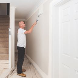 Leyland Trade Super Leytex 10Ltr Brilliant White Matt Emulsion Bare Plaster Paint