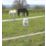 Stockshop BX100 Electric Fence Energiser Battery-Powered