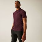 Regatta 50/50 Pique Polo Shirt Burgundy - 173 4X Large 56.7" Chest