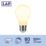 LAP  E27 A60 LED Light Bulb Milky 806lm 3.8W 2 Pack