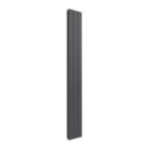 Reina Flat Double 1600mm x 218mm 1716BTU Anthracite Vertical Designer Radiator