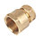 Flomasta  Brass Compression Adapting Female Coupler 22mm x 1"