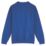 Pro RTX  Sweatshirt Royal Blue Small 35 / 37" Chest