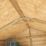 Rowlinson  6' x 7' 6" (Nominal) Apex Shiplap Timber Shed