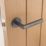 Eclipse Ultimate Revolve Fire Rated Lever On Rose Door Handle Pair Graphite 1 Pair