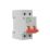 Schneider Electric Easy9 100A DP  Switch Disconnector