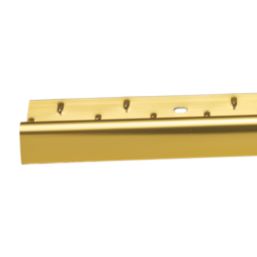 Single Edge Door Threshold Gold 900mm x 31.2mm