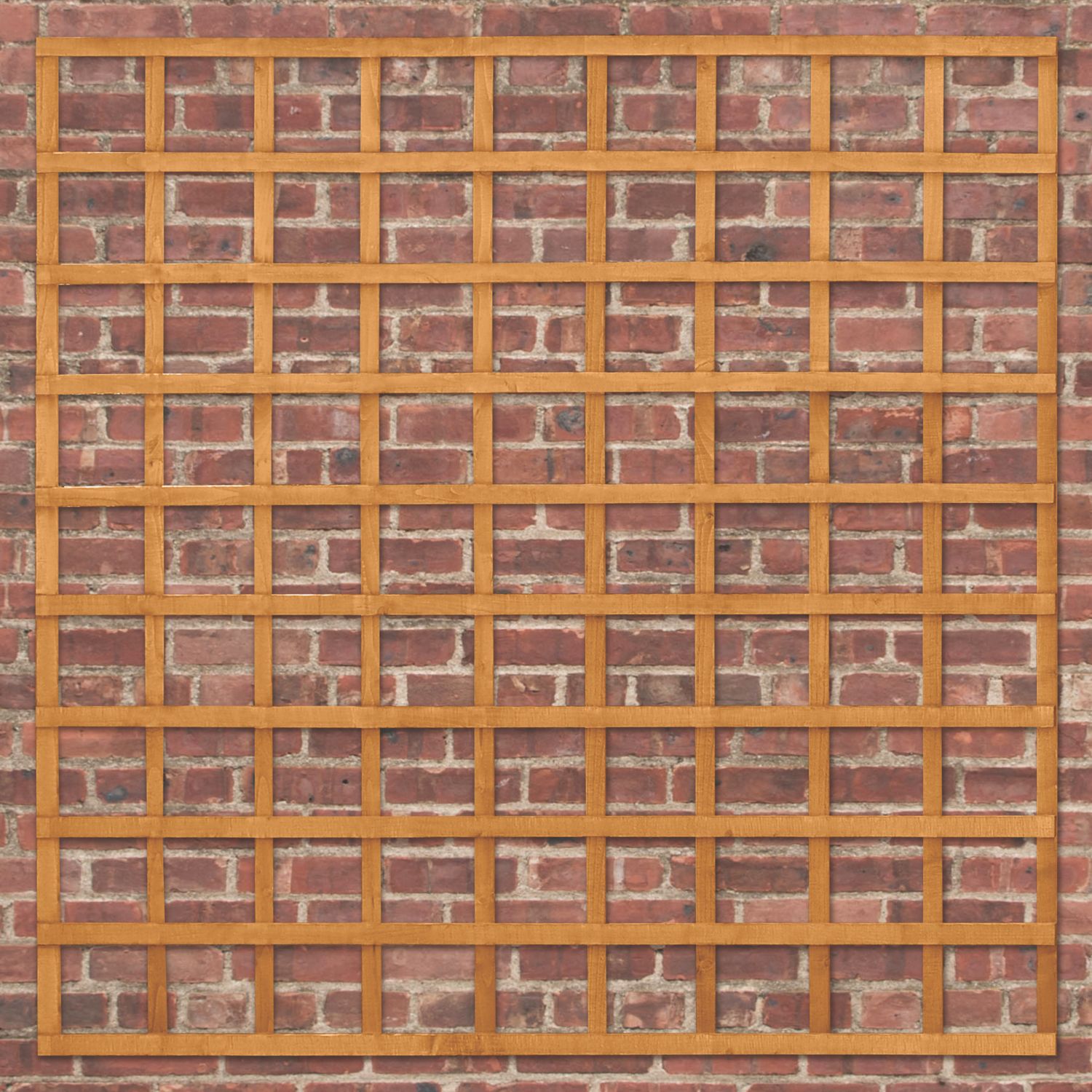 Forest Softwood Square Trellis 6' x 6' 10 Pack (515PP)