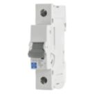 Lewden E10 6A SP B Curve  MCB