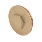 Tesla Immersion Heater Plug & Washer