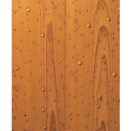 Thompsons  Water Seal Clear 5Ltr