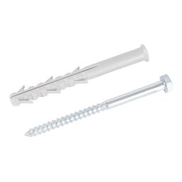 Easyfix  Hex Long Expansion Frame Fixings 10mm x 100mm 12 Pack
