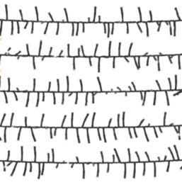 300 LED Indoor & Outdoor Daylight Cluster Christmas Lights
