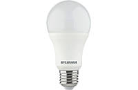 GLS Light Bulb