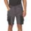 Regatta Infiltrate Shorts Iron/Black 40" W