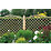 Forest Hamburg Lattice Curved Top Garden Screens 6' x 6' 5 Pack