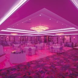 Robus Vegas Express 5m LED Strip Light 14W 500lm/m