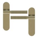 Cooke & Lewis Damgan Lever on Backplate Door Handles Pair Antique Brass